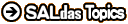 SALdas Topics